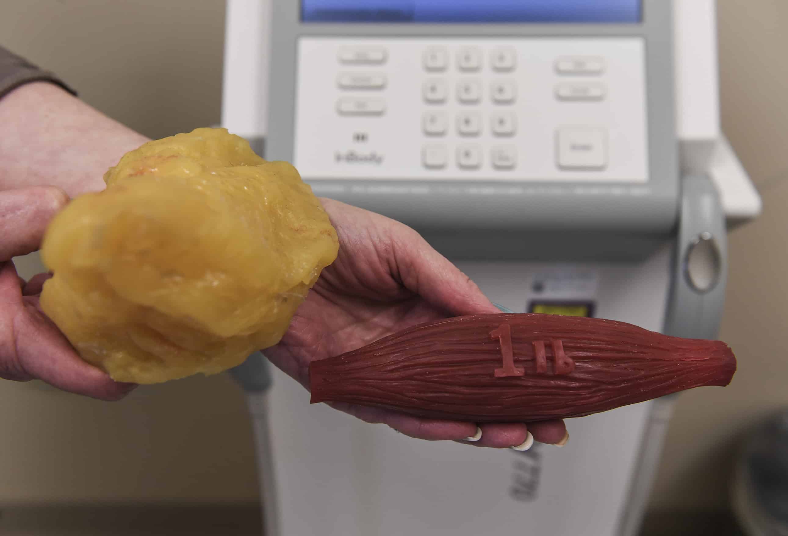 What is in my body body composition Biology Diagrams